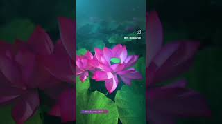 #song  ho Munda #warning #chiti #gowri   #love #singer #hovideo #music