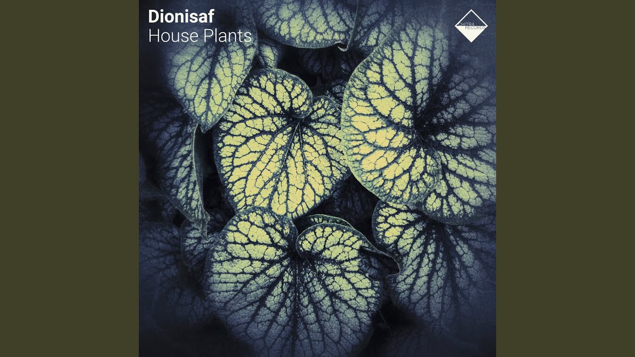 Watch Ficus Elastica on YouTube Watch Ficus Elastica on YouTube