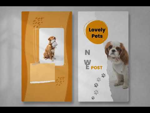Animated Instagram Promo Stories, a Social Media Template by Artemis-products (Thumbnail 1 of 4)