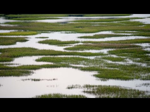 اطلاعات بیشتر در مورد آن اکنون مجموعه بحث و گفتگو در اسپولتو فراتر از عمر