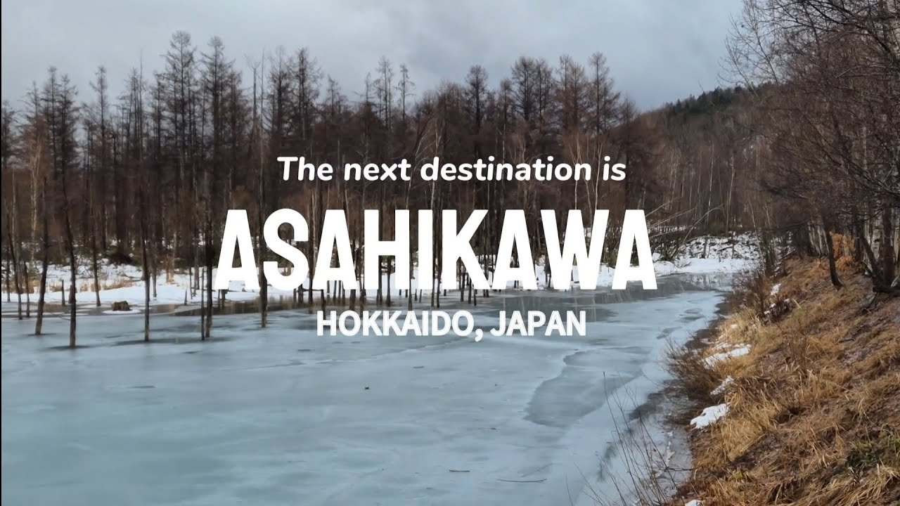 Biei 美瑛 Vlog | Japan Hokkaido Trip 2025.11 日本北海道之旅 (Pt.3)