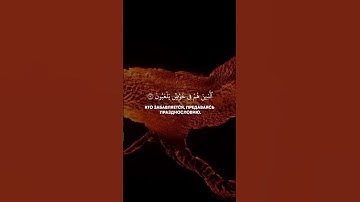 تلاوة عذبة ❤❤ من القرآن الكريم الشيخ محمد اللحيدان