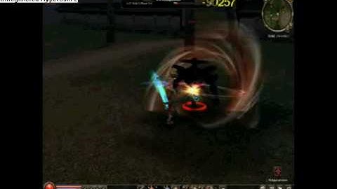 Metin2 P Server!!!(Und P Skills)