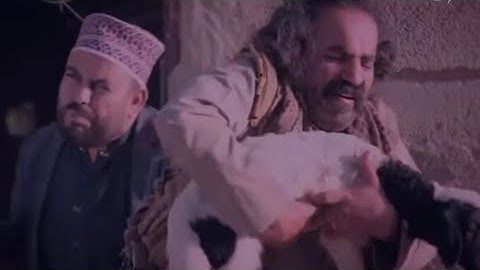 كل شيء يدب على الأرض نعده 😂 اضحك مع ابو الف مسلسل الزوبعه الحلقه 14