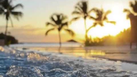 مادمت تقرأ الاذكار فأبشر بكل خير - محمد الشنقيطي