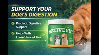 NATIVE GUT REVIEW: How Does It Really Works?