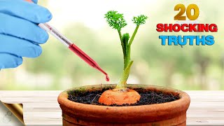 20 SHOCKING TRUTHS ABOUT GARDENING | GARDEN MYTHS DEBUNKED! by GARDEN TIPS 47,793 views 1 year ago 10 minutes, 56 seconds