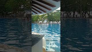 sea Eagle pindasan Maco Beach Mabini Davao de oro