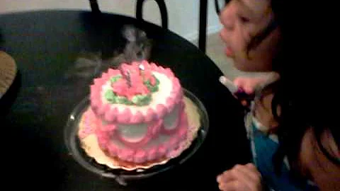 chloes birthday