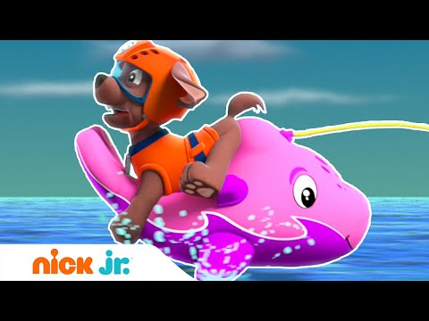 Щенячий патруль | Щенки спасают дельфинёнка 🐬 | Nick Jr. Россия