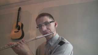 Video thumbnail of "Eminem - Love the way you lie (flute cover)"