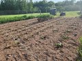 THE FARMHOUSE. Planting The Garden. Getting the boat ready. The Fish House. Camping trip coming.