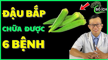 6 Lợi Ích Của Đậu Bắp Chữa Được 6 Căn Bệnh Thường Gặp Nhất – Kênh Sức Khoẻ Bổ Ích