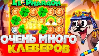 :     ALL IN  LE PHARAOH!   