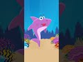 Türkçe Babay Shark - Bebek Balık #shorts #youtubekids