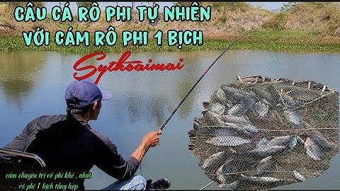 câu cá rô phi tự nhiên _mồi câu cá rô phi sythoaimai