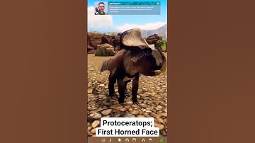 Look at this Protoceratops! 👀 #dinosaur #prehistorickingdom #shorts