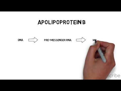 Video: Mus APOBEC1 Cytidindeaminas Kan Inducera Somatiska Mutationer I Kromosomalt DNA