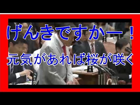 アントニオ猪木【質問前の漫談】