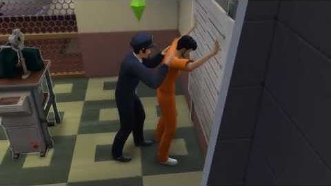 TS4 Get to Work Searching Criminal