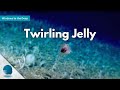 Windows to the Deep: Twirling Jelly