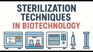 Sterilization Methods