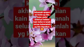KATA-KATA BIJAK TERBAIK, KATA BIJAK ISLAMI, KATA KATA MUTIARA ISLAMI 30 DETIK #shorts