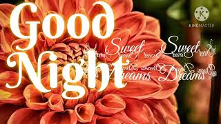 Good Night Good Night Video For WhatsApp Facebook Share Chat Instagram Pinterest Status