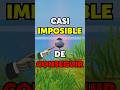 Esto pasa 1 en 20.000 👀