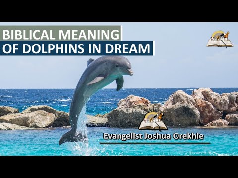 Video: Ako interpretovať sen zahŕňajúci veľrybu alebo delfína: 10 krokov