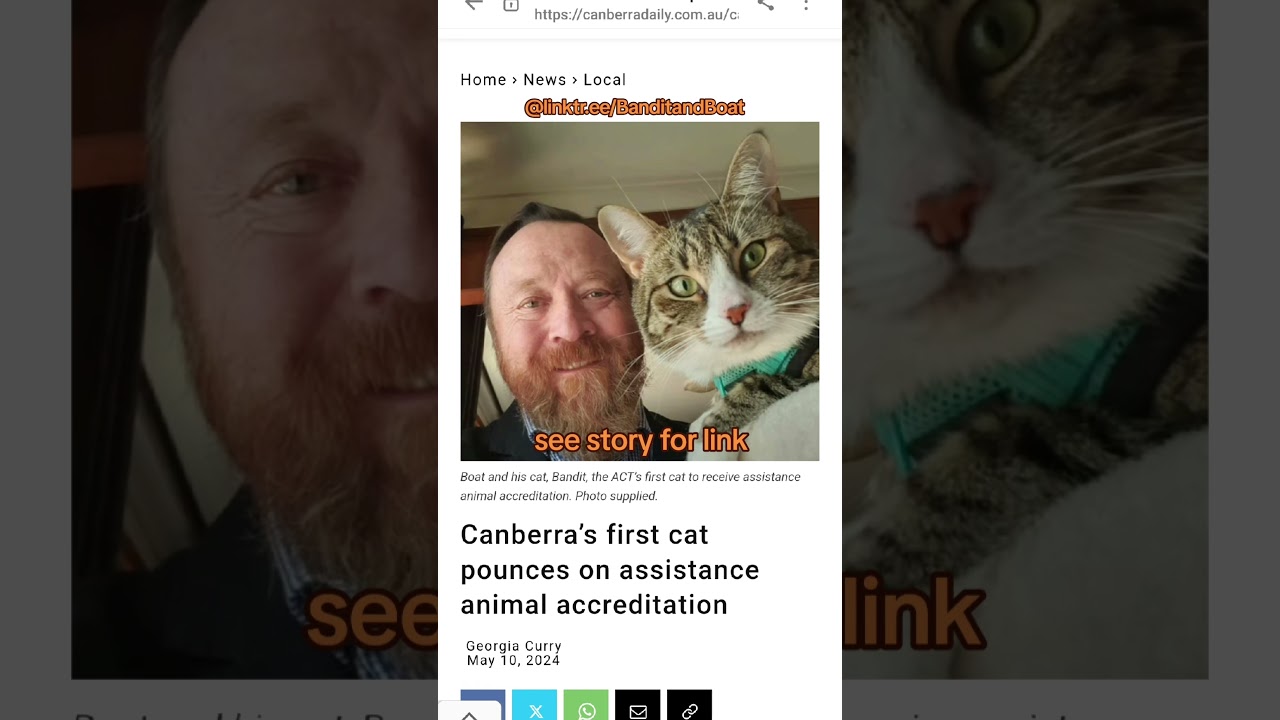 Bandit's doing it again and is making history... 