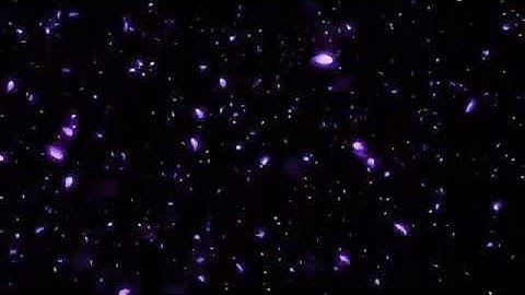 Hiệu ứng cánh hoa rơi màu tím cực đẹp để làm video