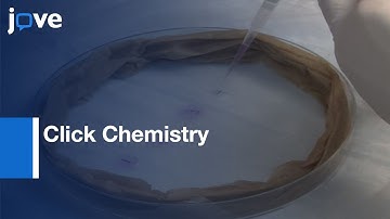 Click Chemistry: Viral Infection on the Host-Cell RNA Synthesis | Protocol Preview