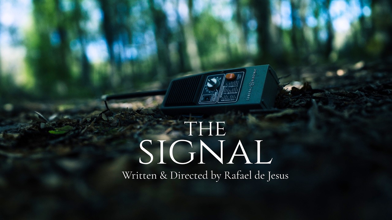 The Signal (Concept Teaser)