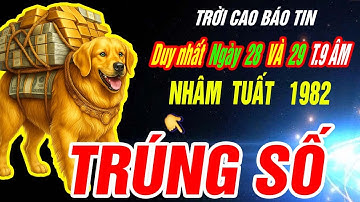 Trời định Tuổi NHÂM TUẤT 1982 TRÚNG SỐ ĐỘC ĐẮC CỰC GIÀU CÓ đúng 2 ngày tới Tháng 9 âm 2025