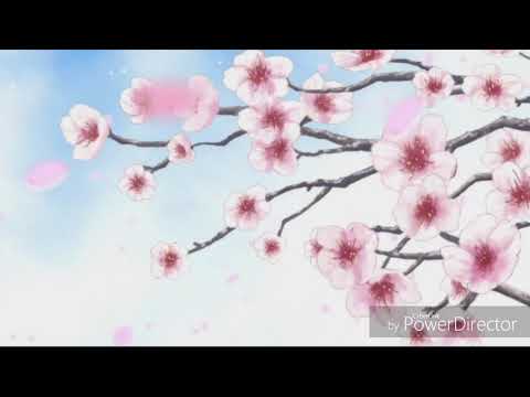 tsuki ga kirei