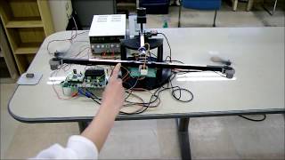 Two-Rotor system