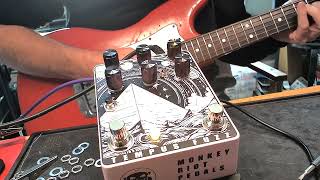 Tempus Fuzz - Candy Pink - Drone Echoes Envelope Modulation