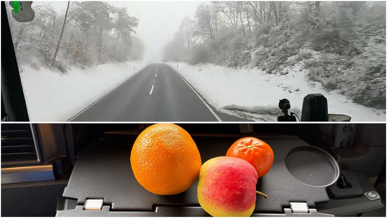 ПРОСТОИ, ШИНОМОНТАЖ, ФРУКТЫ ОТ КАРЩИКА. ДАЛЬНОБОЙ ПО ЕВРОПЕ 🇪🇺