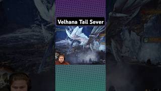 Vlekhana Tail Sever World #monsterhunter #mhw #mhwib #iceborne #monsterhunter #returntoworld
