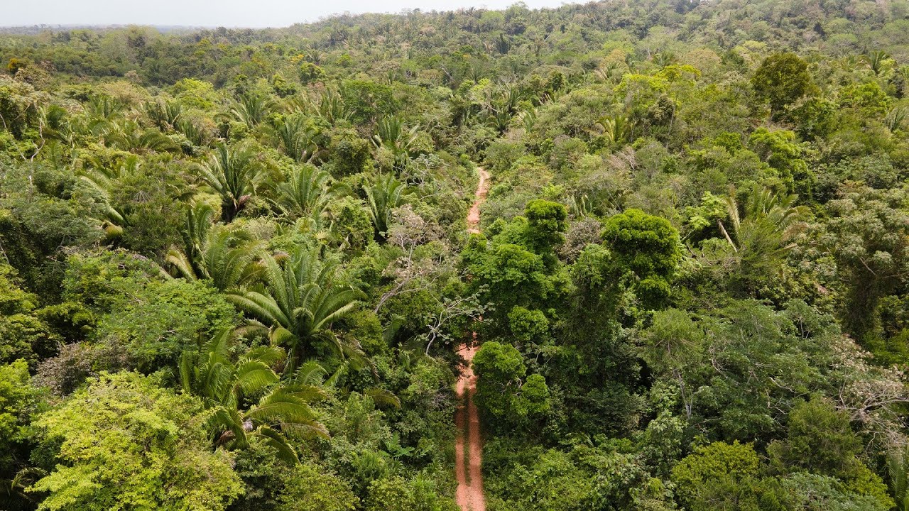 83.358 Acres in Mayflower / Bocawina, Stann Creek, Belize