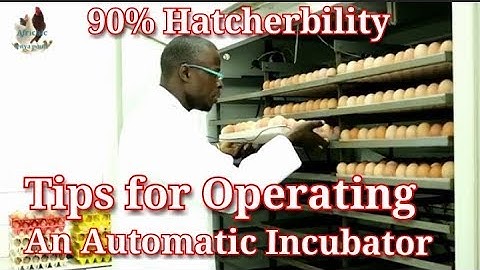 How to set & operate an Automatic egg incubator / How to set up a hatchery
