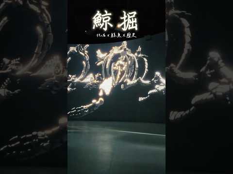 "台中科博館"超強特展，帶你解密鯨魚神秘真面目【鯨崛】#shorts