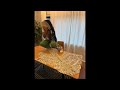[FREE] Skrilla X 1900 Rugrat Sample Type Beat  - "get lucky"