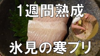 一週間熟成　氷見の寒ブリ