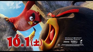 映画『アングリーバード』 予告 -トリオ編-
