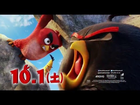 映画『アングリーバード』 予告 -トリオ編-