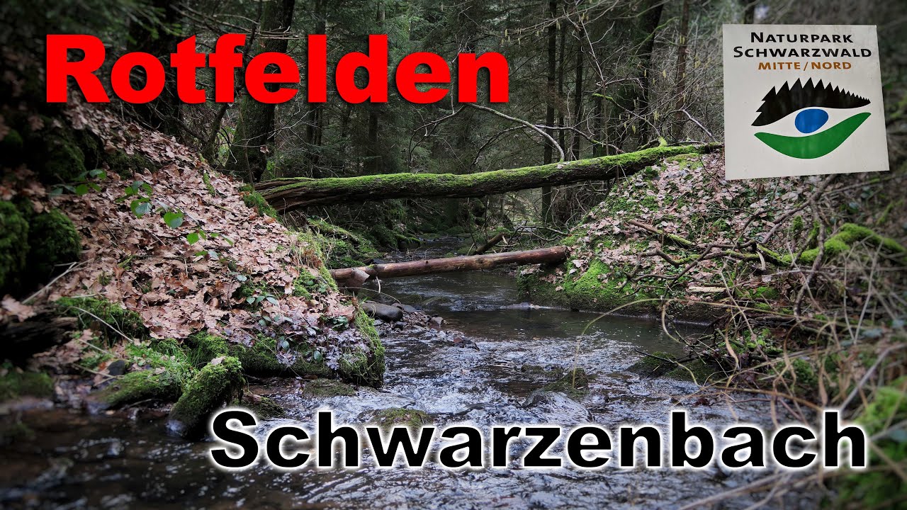 Ebhausen - Rotfelden | Schwarzenbachrunde