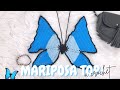 Crop Top Mariposa a Crochet Para Vibrar Alto🦋 -✨Merry