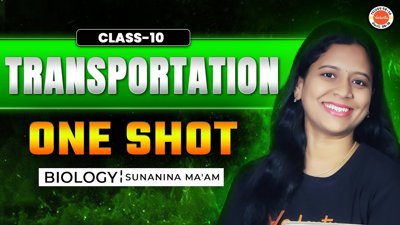 Transportation One Shot | Class 10 Biology | SSC AP & TS Board | Sunaina ma'am